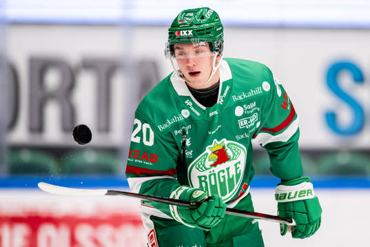 Rögles Viktor Smeds