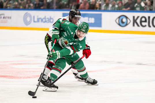 Rögles Brady Ferguson och Malmö Redhawks Lukas Wernblom