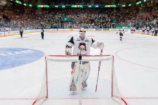 Malmö Redhawks målvakt Adam Werner deppar
