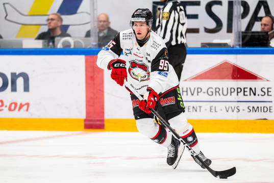 Malmö Redhawks Carl Persson