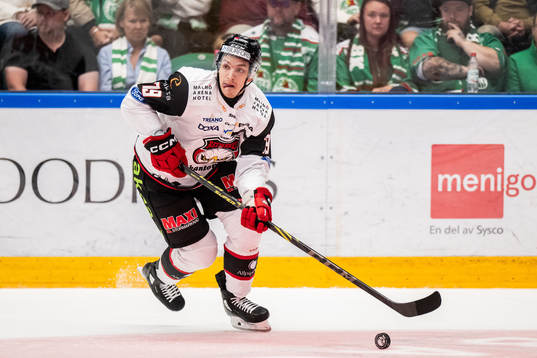 Malmö Redhawks Jakub Galvas