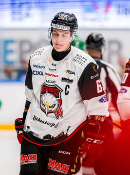 Malmö Redhawks Fredrik Händemark deppar