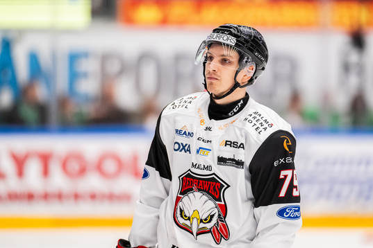 Malmö Redhawks Jakub Galvas