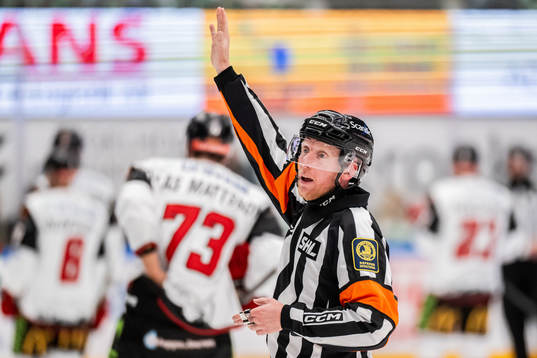Domare Mikael Holm