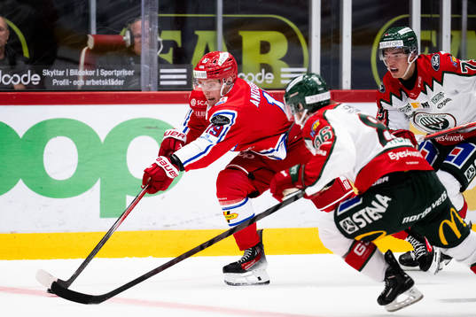Timrås Erik Andersson
