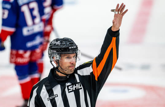 Domare Johan Magnusson