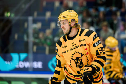 Skellefteås Jonathan Pudas