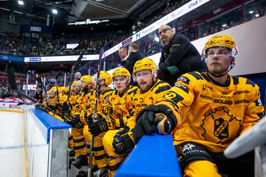 Skellefteås Oskar Nilsson och Anton Olsson deppar