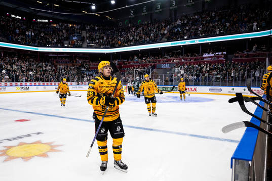 Skellefteås Rickard Hugg deppar