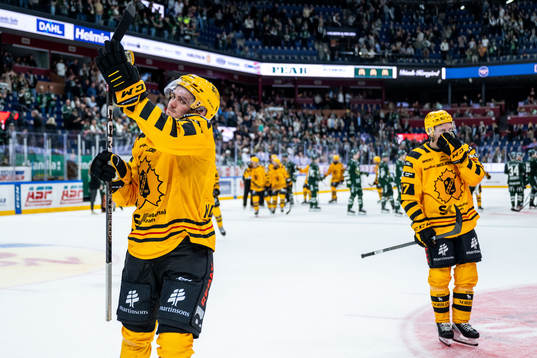 Skellefteås Max Lindholm och Pär Lindholm deppar