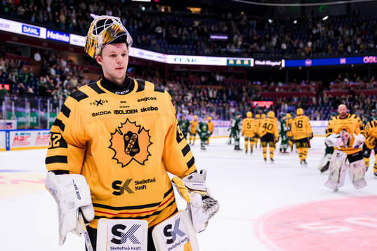 Skellefteås målvakt Linus Söderström deppar