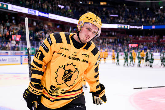 Skellefteås Max Lindholm deppar