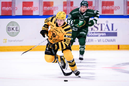 Skellefteås Zeb Forsfjäll
