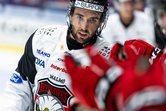 Malmö Redhawks Alan Quine jublar