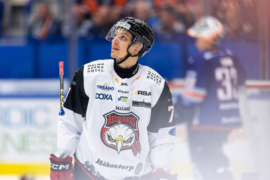 Malmö Redhawks Jakub Galvas