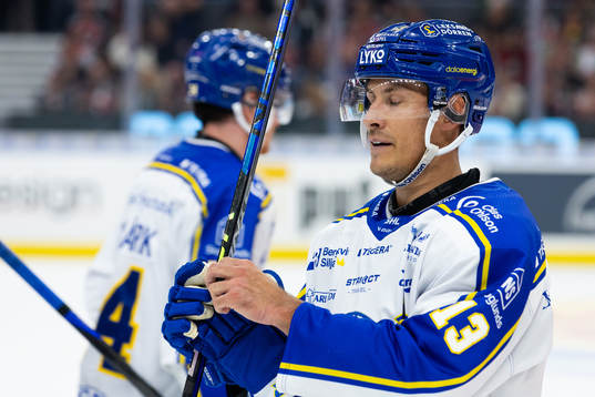 Leksands Jon Knuts