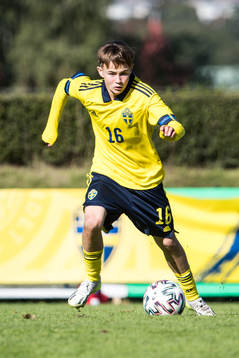 Sveriges Melwin Hedman