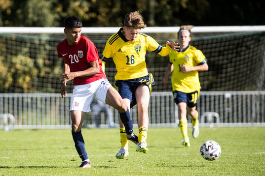 Norges Mostafa Najafzadeh och Sveriges Melwin Hedman