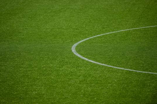 Quality of the grass at Nadderud Stadion
