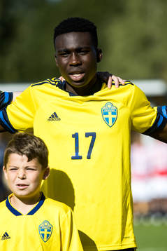 Sveriges Glad Egbedi