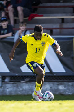 Sveriges Glad Egbedi