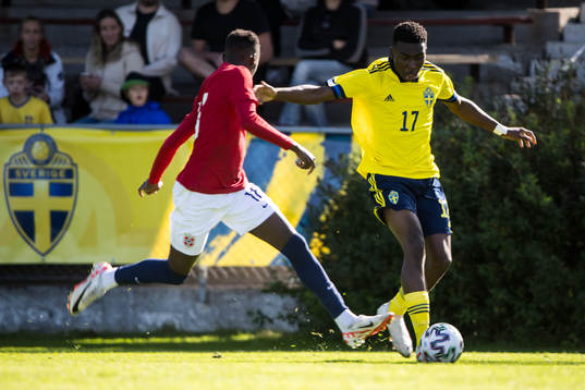 Sveriges Glad Egbedi