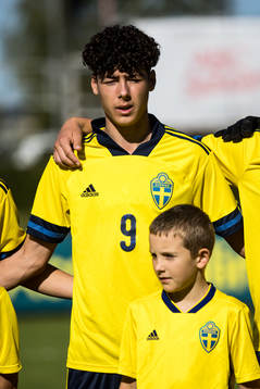 Sveriges Luka Petrovic