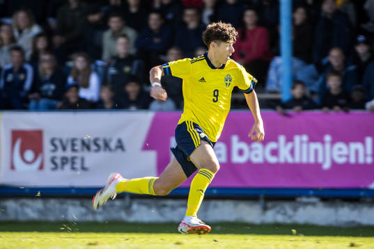 Sveriges Luka Petrovic