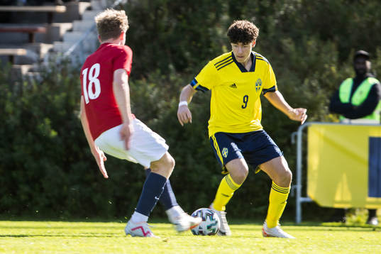 Sveriges Luka Petrovic
