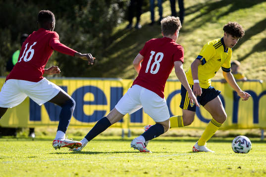 Sveriges Luka Petrovic