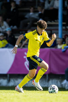 Sveriges Luka Petrovic