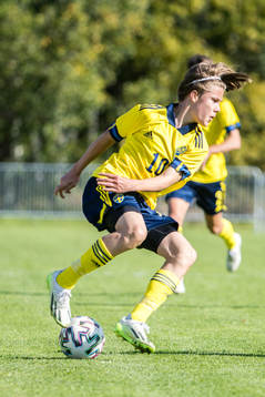Sveriges Love Arrhov