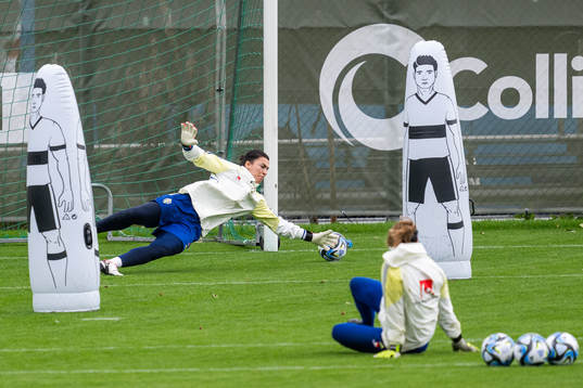 Goalkeeper Zecira Musovic