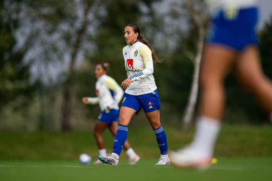 Rosa Kafaji