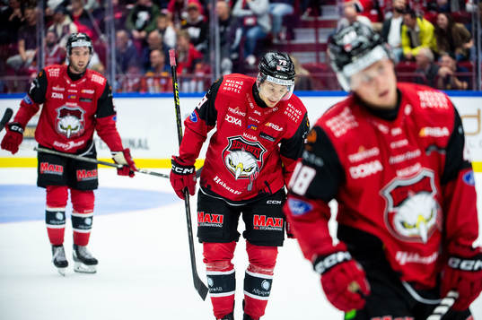 Malmö Redhawks Jakub Galvas deppar