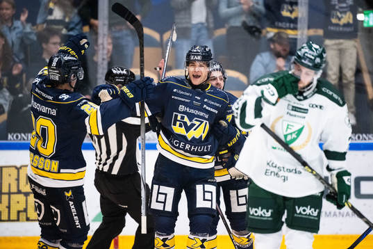 HV71s Radan Lenc jublar