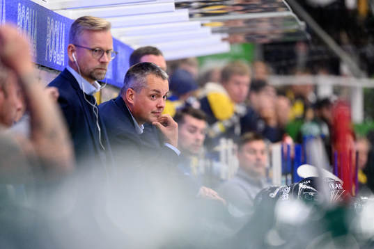 HV71s tränare Tomas Montén deppar
