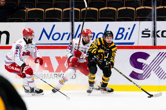 Timrås Albin Lundin och Skellefteås Martins Dzierkals