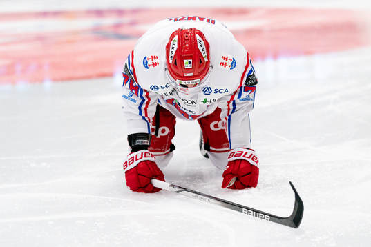 Timrås Robin Hanzl