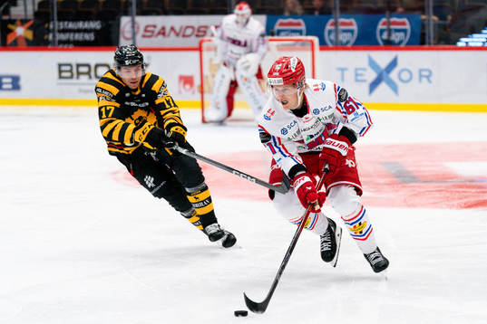Skellefteås Pär Lindholm och Timrås Axel Rindell