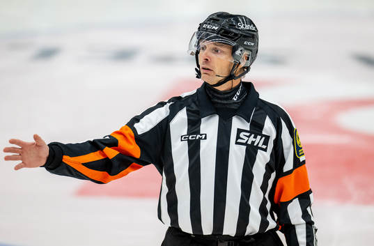 Domare Mikael Andersson