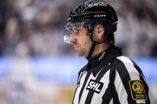Domare Mikael Sjöqvist