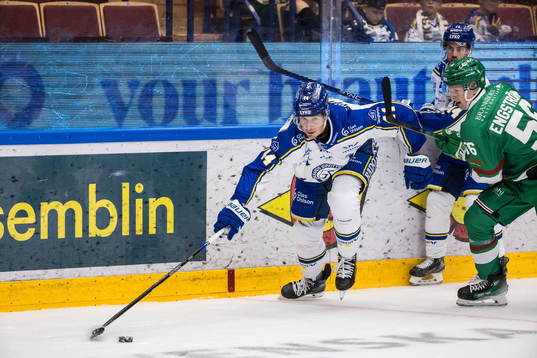 Leksands Carter Ashton