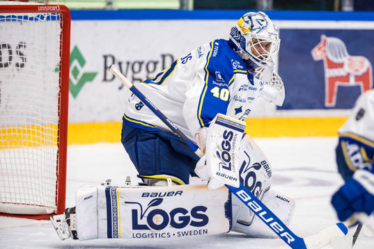Leksands målvakt Mantas Armalis
