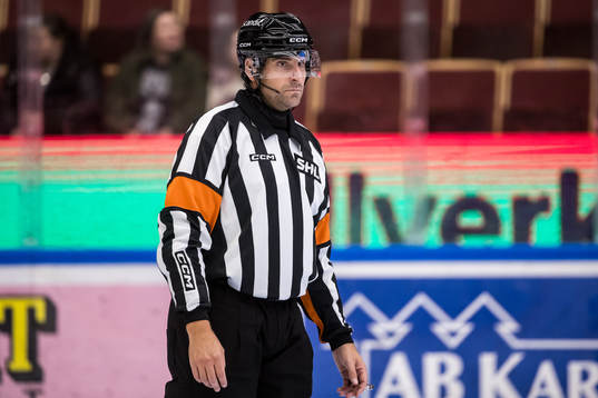 Domare Mikael Sjöqvist