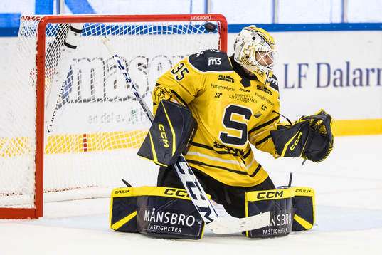 Södertäljes målvakt Tomas Sholl