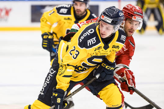 Södertäljes Egor Polin