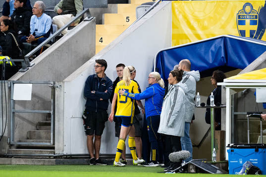 Amanda Ilestedt of Sweden leaves the pitch