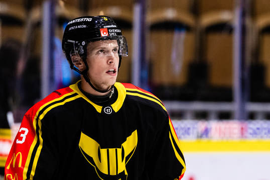 Västerås Ludvig Östman