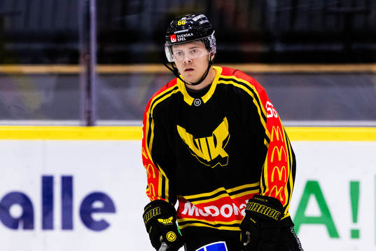 Västerås Alexander Lindelöf